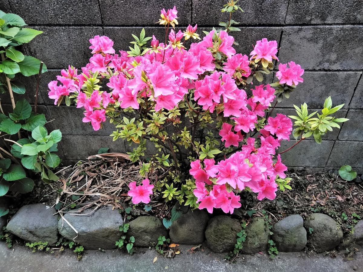 Guesthouse Tabimakura 别府 外观 照片